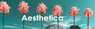 Aesthetica magazine