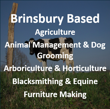 Brinsbury courses