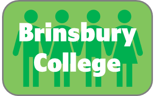 Brinsbury College