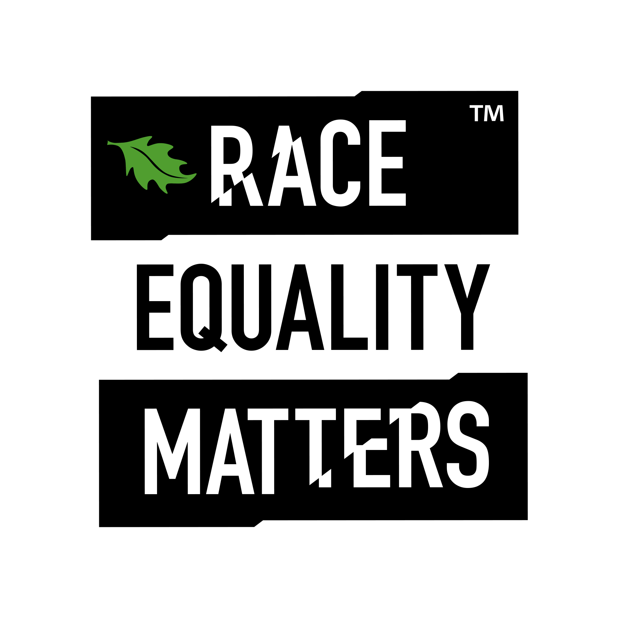 Race Equality Matters Logo